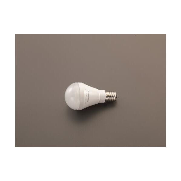 AC100V/6.7W/E17 電球/LED(昼光色)