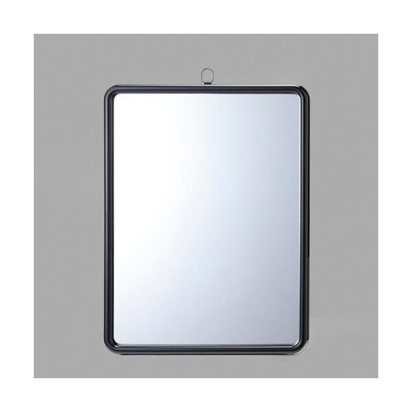 218x292mm 吊リ下ゲ型ミラー(飛散防止)