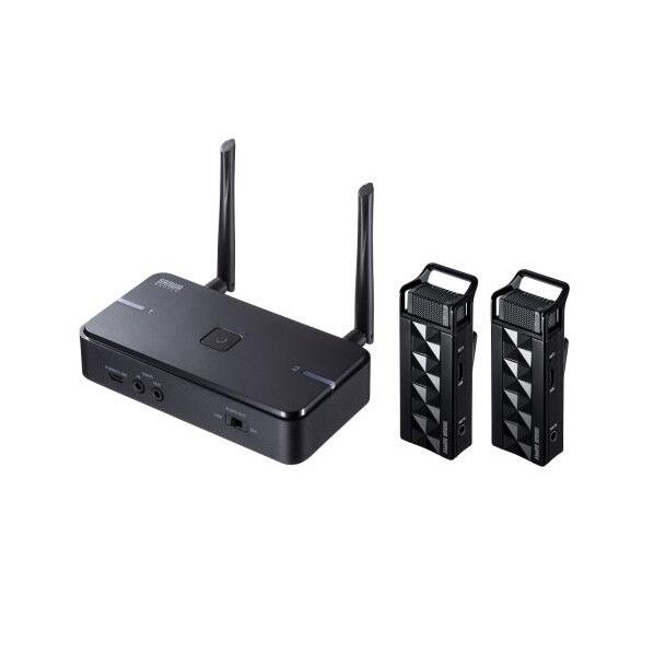 ワイヤレスマイクシステムセット(マイク2台付)