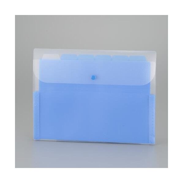 A4/251x325mm ドキュメントホルダー(ブルー) EA762CB-281 1冊