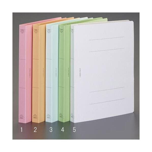 A4 フラットファイル(無着色)