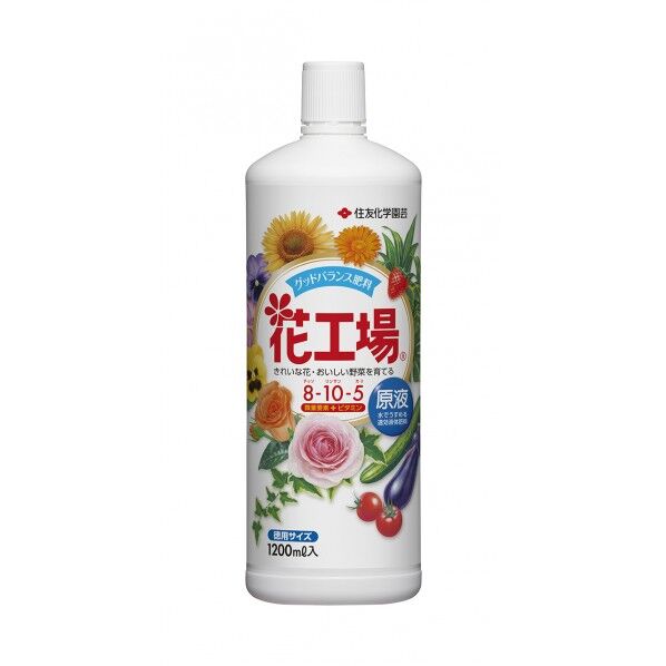 1個