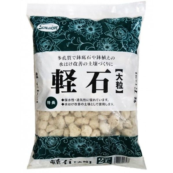 軽石大粒 2L 1個