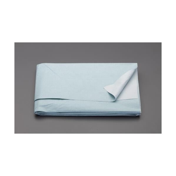 3.04x3.81m 養生クロス EA911BC-54 1