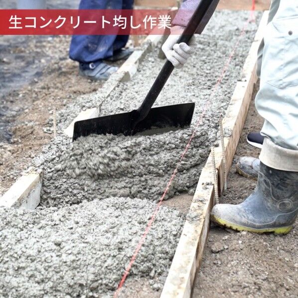 浅香工業 18379 PROLINE ショベルレーキ500 P柄 ｜短納期 - 通販