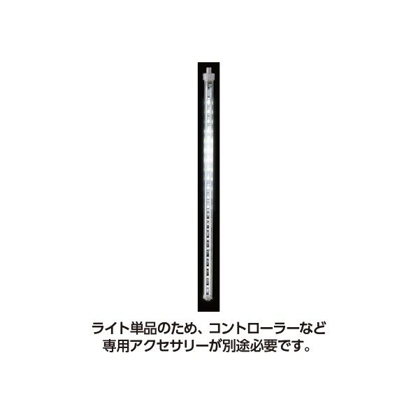 1個