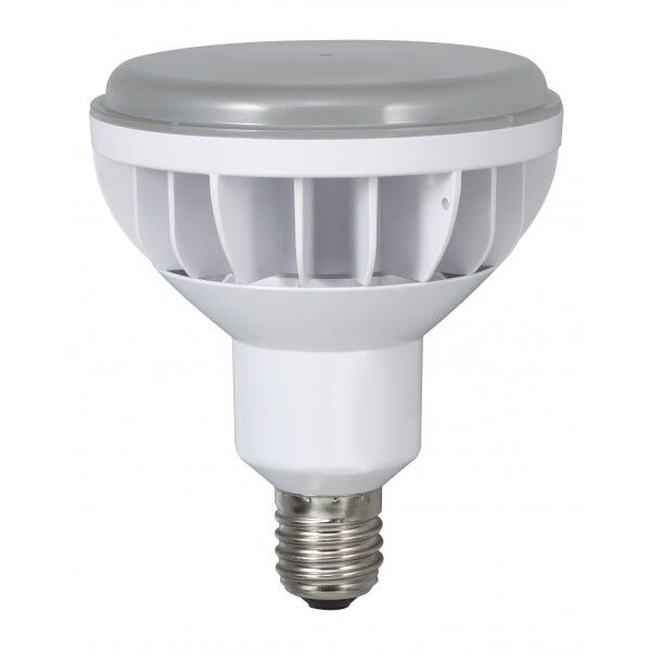 40W LED電球 LDR40N-H110 1個