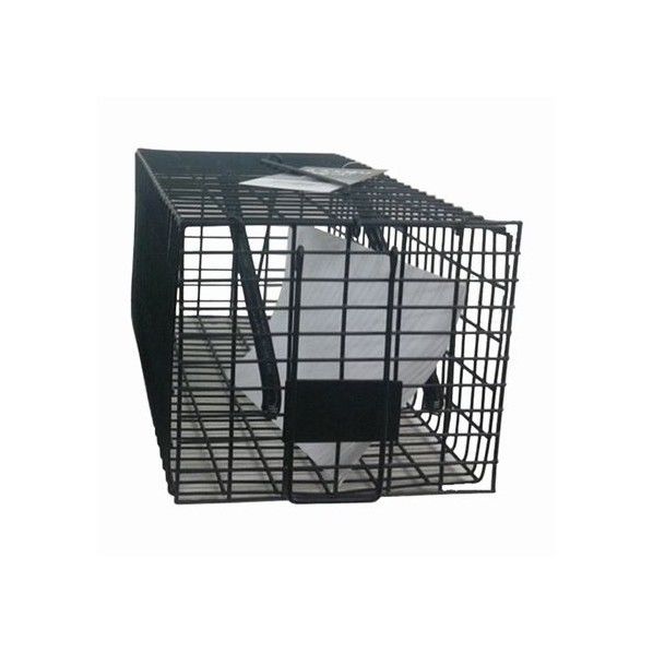 ネズミ捕り 角型(大) ブラック 1個
