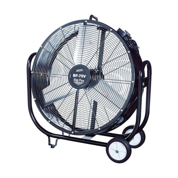 【車上渡し】ビッグファン 75cm BF-75V