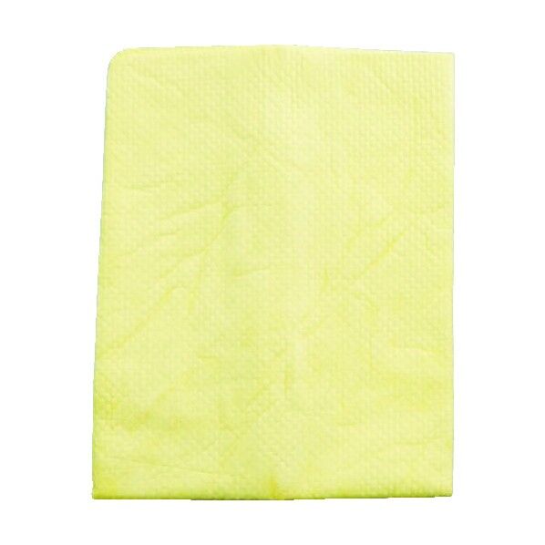 ＡＩＯＮプラスセーヌボディ＆ガラスレギュラー２枚セット