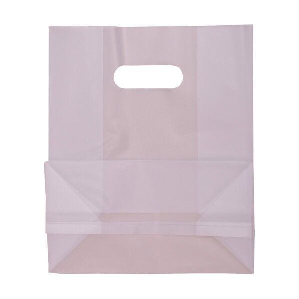 フロスト小判抜き