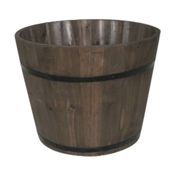 DBプランター深型 Φ38×H30 P116 1点x6個