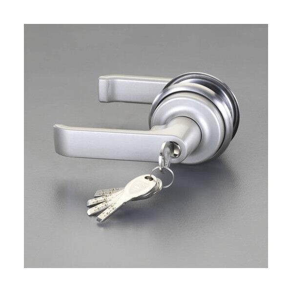 取替用レバーハンドル(1スピンドル型)