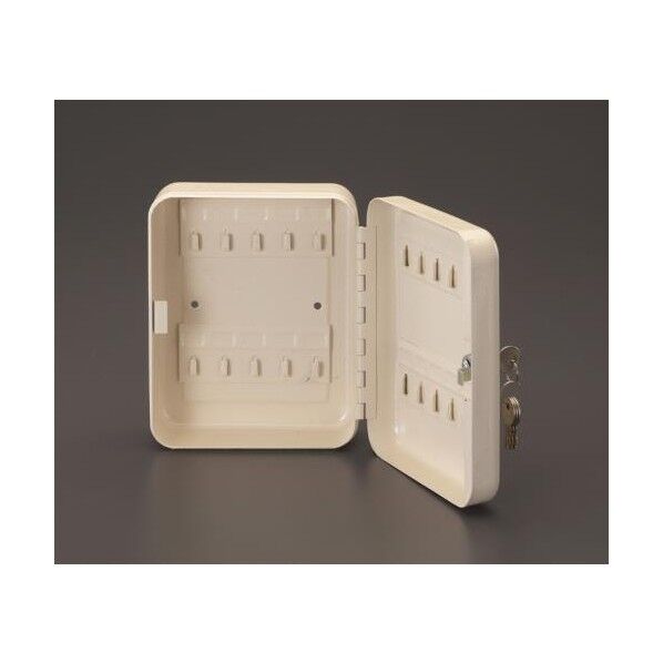 197x160x76mmキーボックス EA956VD-61 1