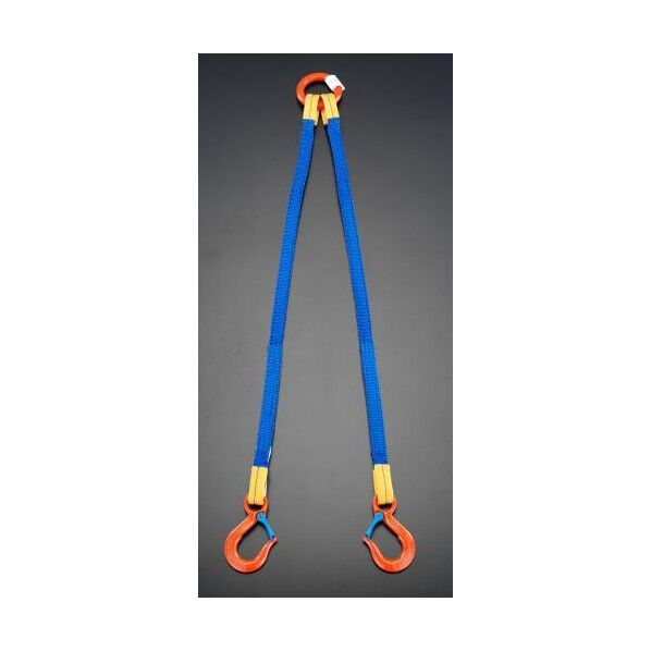 2.0tonx2.5m[2本吊り]金具付スリング EA981FD-24A 1