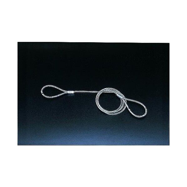 9mmx1.0m玉掛ワイヤー