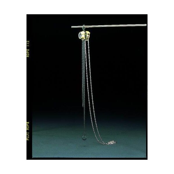 150Kgx2.5mチェーンブロック