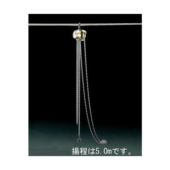 250Kgx5.0mチェーンブロック