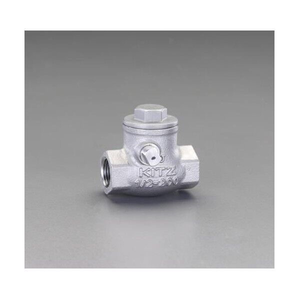 1/2''スイングチャッキバルブ