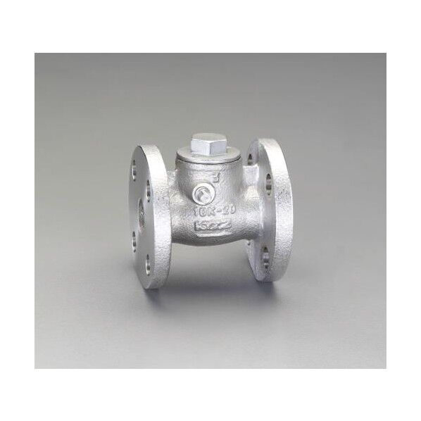 スイングチャッキバルブ(フランジ型) 1/2 EA465AB-4 1