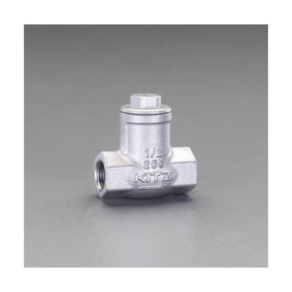 リフトチャッキバルブ 3/8 EA465AE-3 1