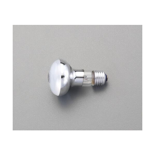 100V/40W［屋内用］レフ電球 EA758XV-40A 1