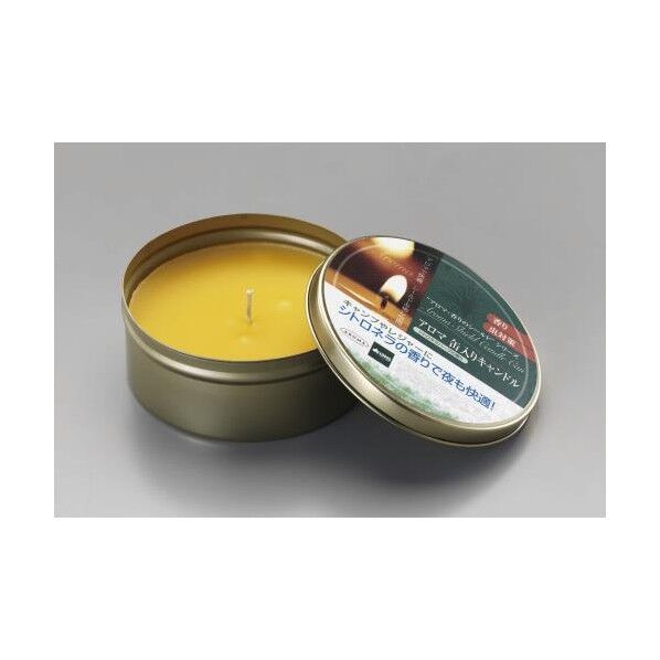 防虫キャンドル EA914AL-6 1