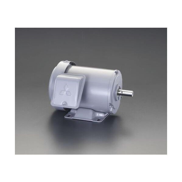 AC200V・0.4kw三相モーター(全閉外扇・屋内形) EA968BA-4