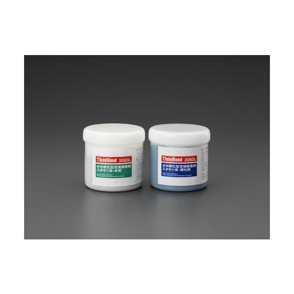 1.0kg水中硬化型接着剤セット