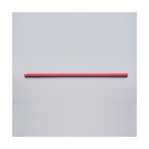 エスコ(esco) 1118mm/1''NPTハンドルスチール製 EA547DH-100...