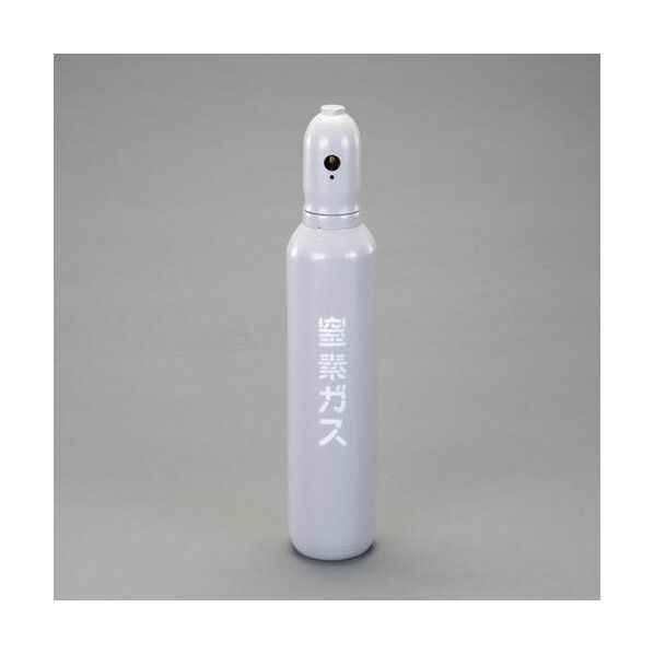 [EA301B用] 窒素ボンベ