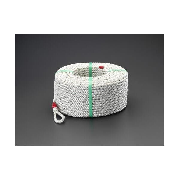 14mmx200m ナイロンロープ(両側アイ加工)