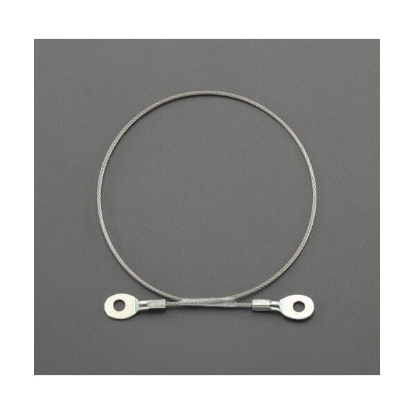 φ1.0x300mm ステンレスワイヤー(ビス止め端子付)