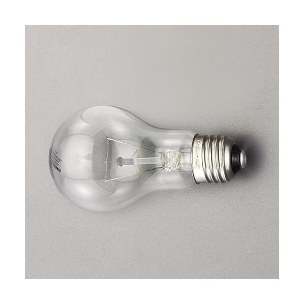 100V/ 60W/E26 白熱電球(クリア)