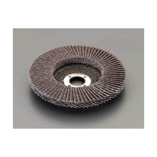 100x15mm/#60 ディスクホイール(5枚)