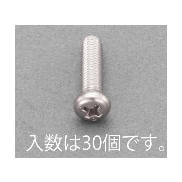 M4x 6mm ナベ頭小ねじ(ステンレス/有磁性/30本).