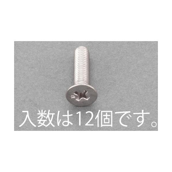 M5x40mm 皿頭小ねじ(ステンレス/有磁性/12本) EA949AE-257 1