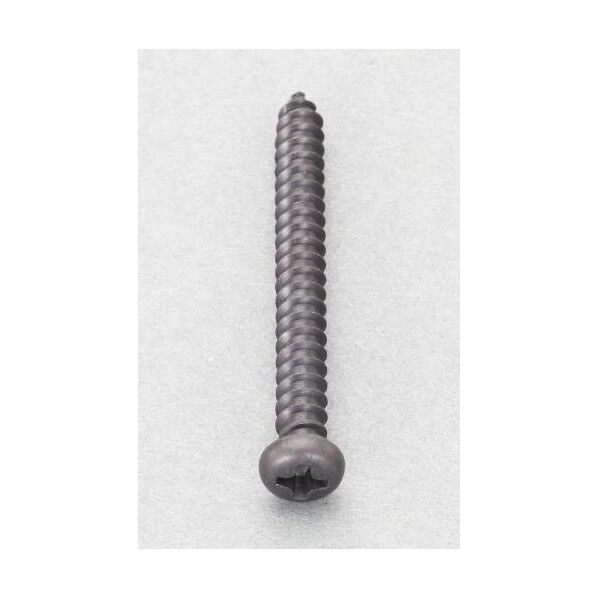 4x12mm ナベ頭タッピングビス(ステンレス/黒色/30本).