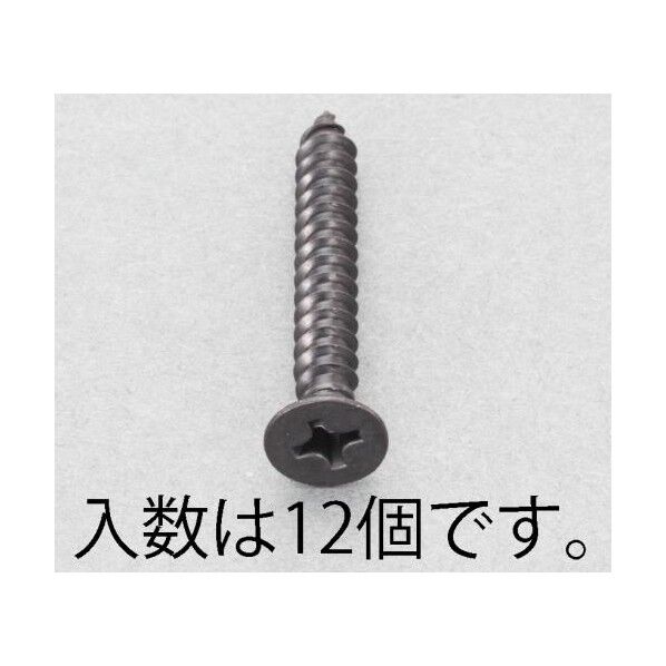 5x45mm 皿頭タッピングビス(ステンレス/黒色/12本)