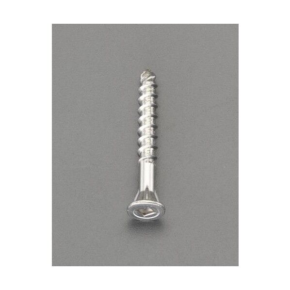 5.0x65mm 四角穴付デッキビス(ステンレス/50本) EA949FT-104 1