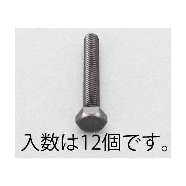 M4x18mm 六角ボルト(ステンレス/黒色/12本) EA949LG-418 1
