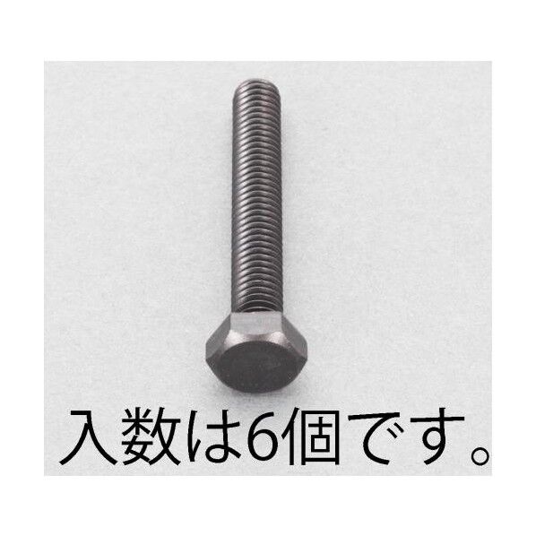 M5x45mm 六角ボルト(ステンレス/黒色/6本) EA949LG-545 1
