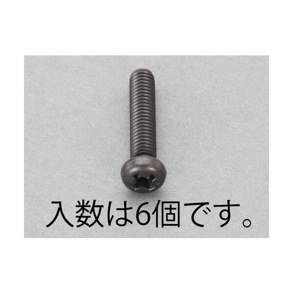 M6x20mm ナベ頭小ねじ(ステンレス/黒色/6本)