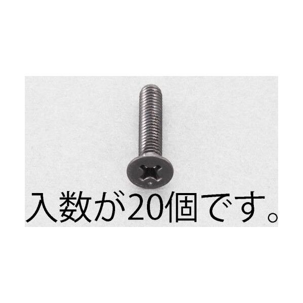 M3x20mm 皿頭小ねじ(ステンレス/黒色/20本)