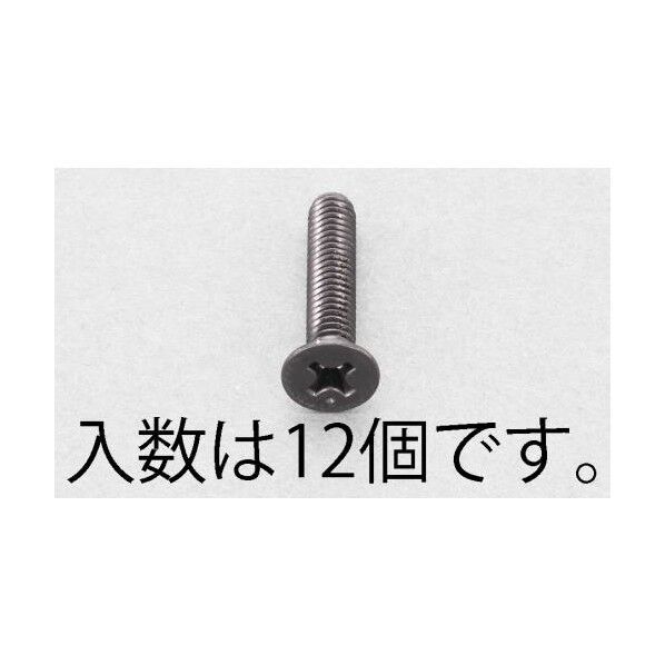 M4x20mm 皿頭小ねじ(ステンレス/黒色/12本)