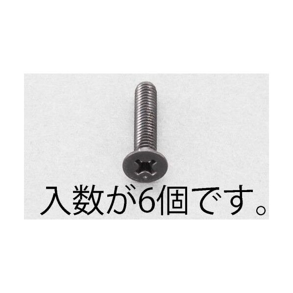 M6x30mm 皿頭小ねじ(ステンレス/黒色/6本)