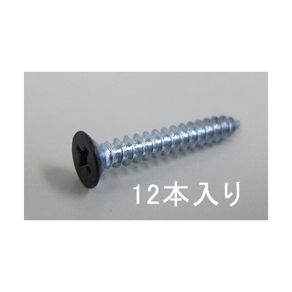3 x20mm アングル用ビス(スチール黒/12本)
