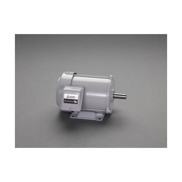 AC200V・0.75kw 三相モーター(全閉外扇・屋内形)