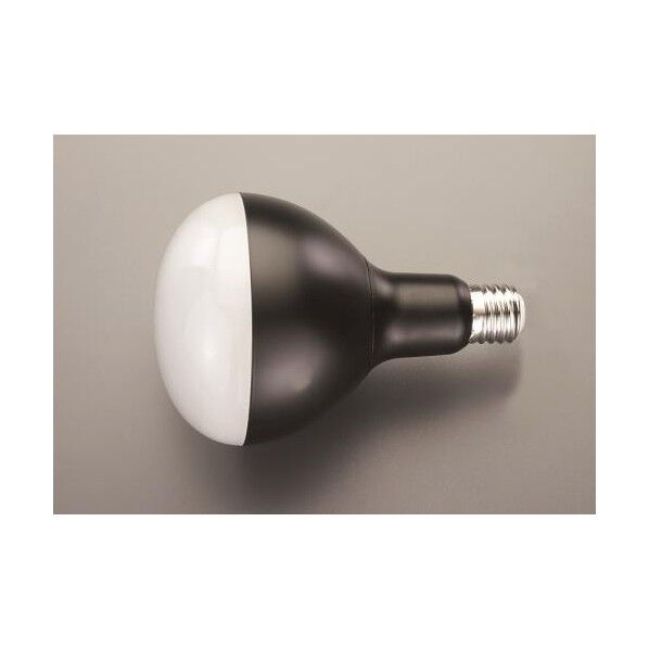 作業灯用LED球 LEDライト EA814AR-55