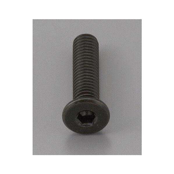 M4 x12mm 六角穴付ボルト超低頭